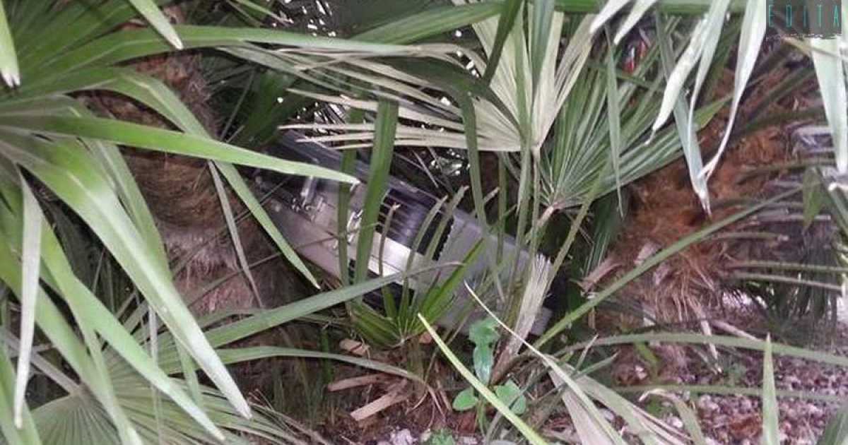 Bari, nei giardini di fronte al Petruzzelli nascosti valigie, borse, cinture e portafogli
